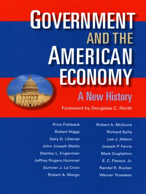 cover image of Government and the American Economy